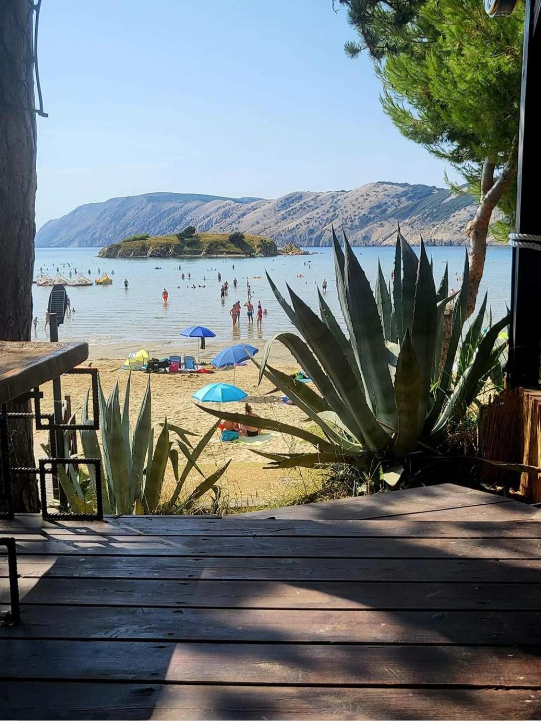 Apartmani Ana I Predrag Lopar Rom bilde